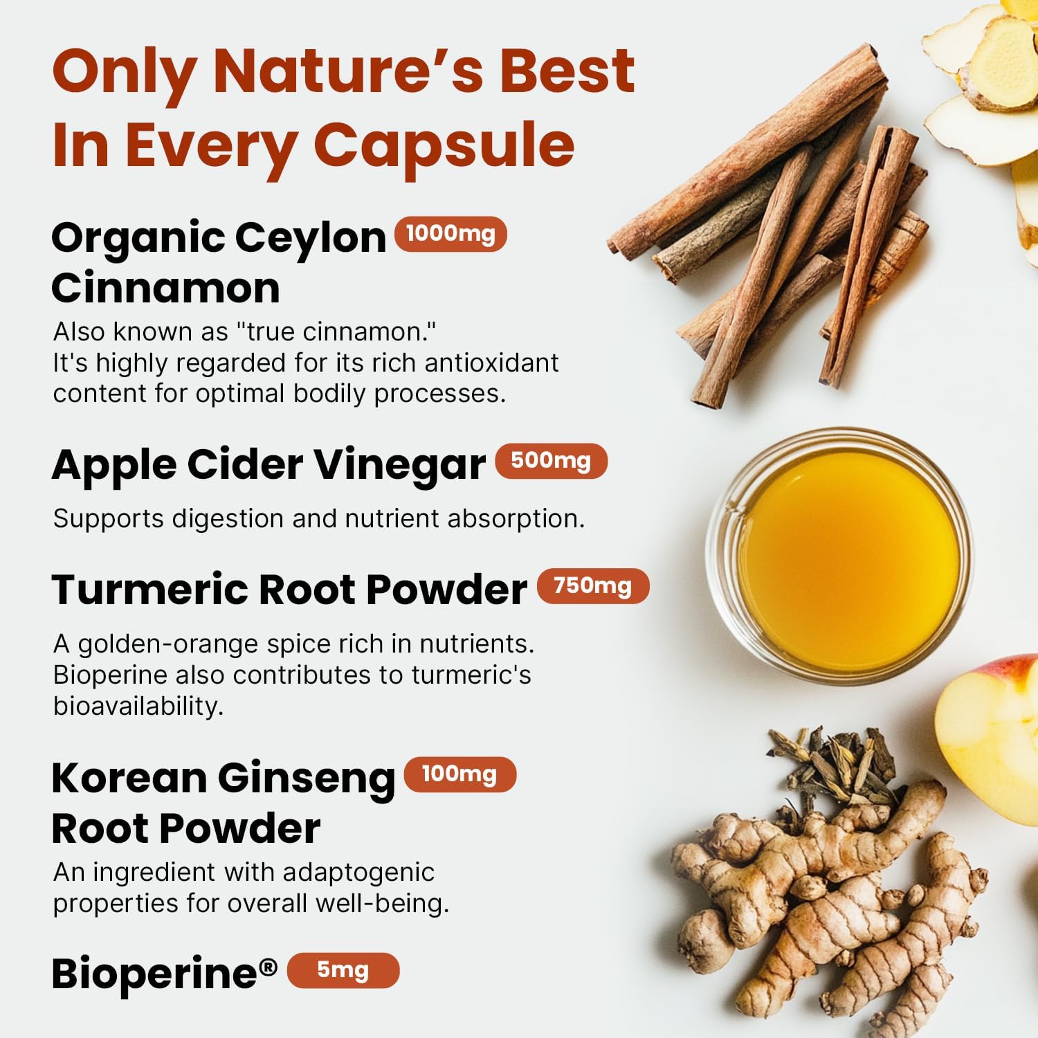 5-in-1 Ceylon Cinnamon Capsules 2355mg Regular - PrimeMD