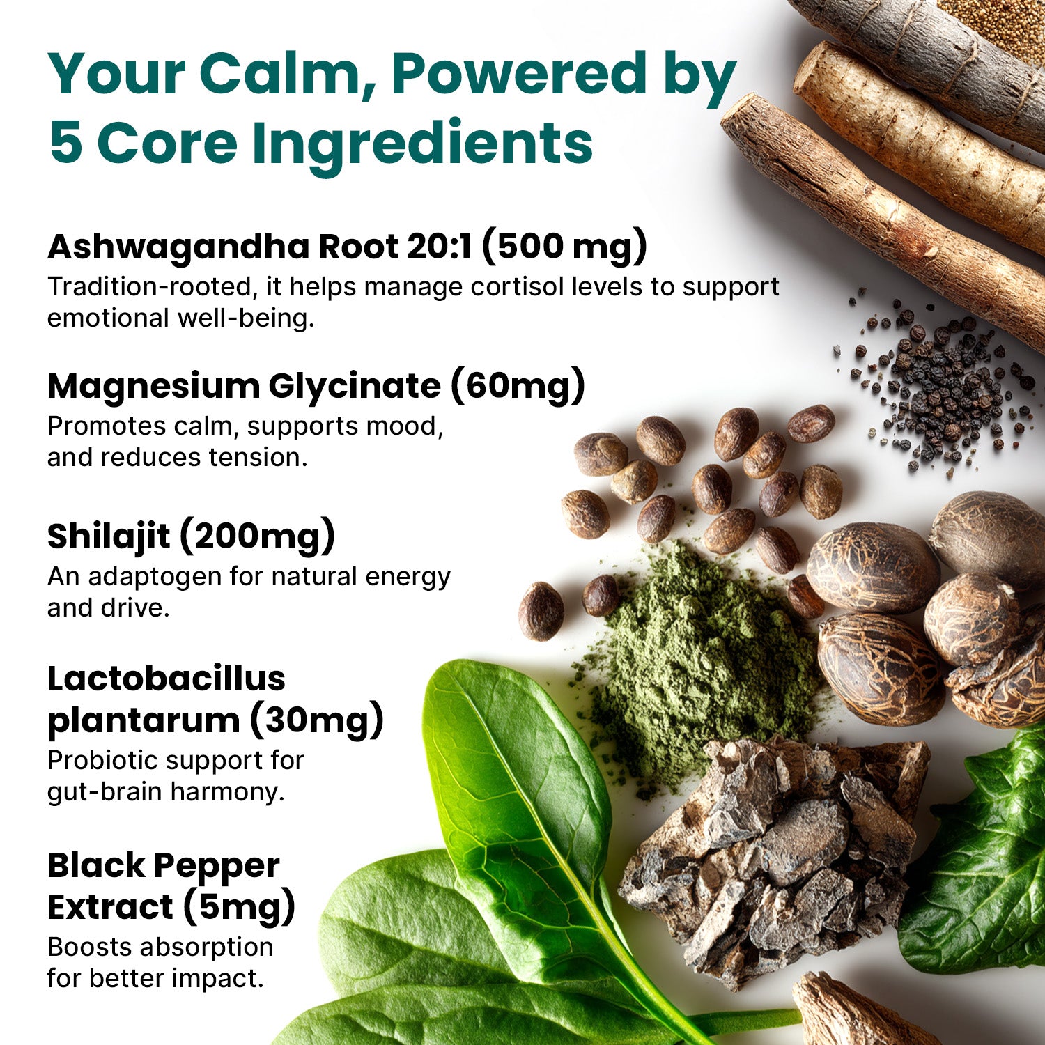 5-in-1 Cortisol Supplement for Women and Men with Ashwagandha for Calmness, Focus, and Adrenal Support Supplements with Shilajit Extract, Magnesium Glycinate, Probiotics - PrimeMD