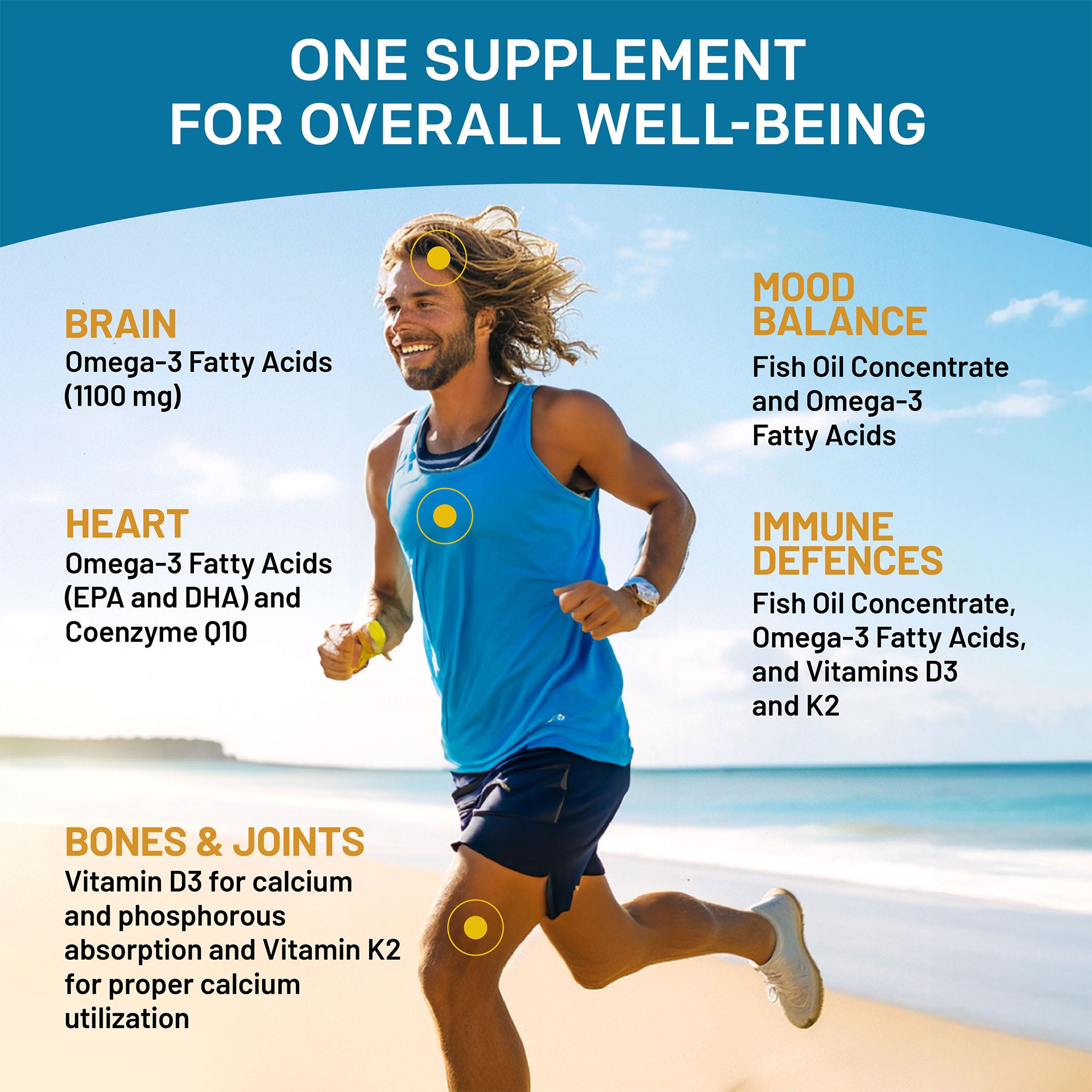 4-in-1 Fish Oil Omega 3 Supplements (2100mg) - Omega 3 Fish Oil with Vitamins D3 & K2 and CoQ10 & 28-in-1 Quercetin with Bromelain Supplement for Daily Immune Defense Support - PrimeMD