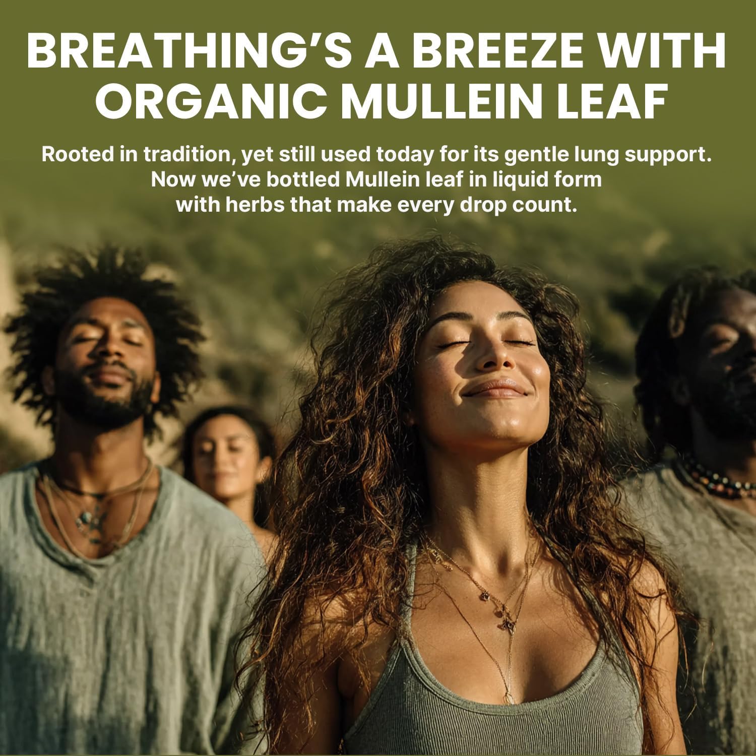 5-in-1 Mullein Drops for Lungs and Bronchial Regular - PrimeMD