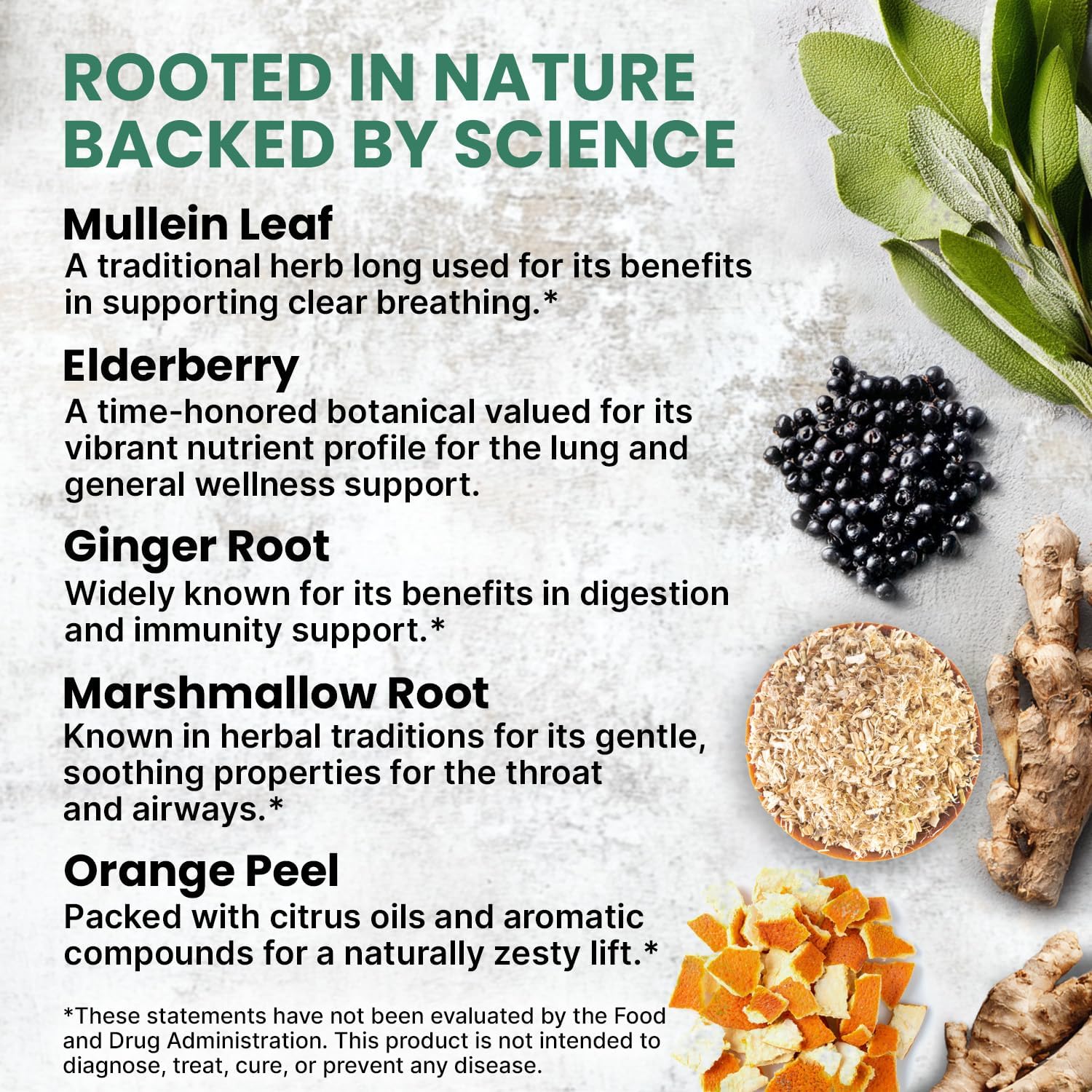 5-in-1 Mullein Drops for Lungs and Bronchial Regular - PrimeMD