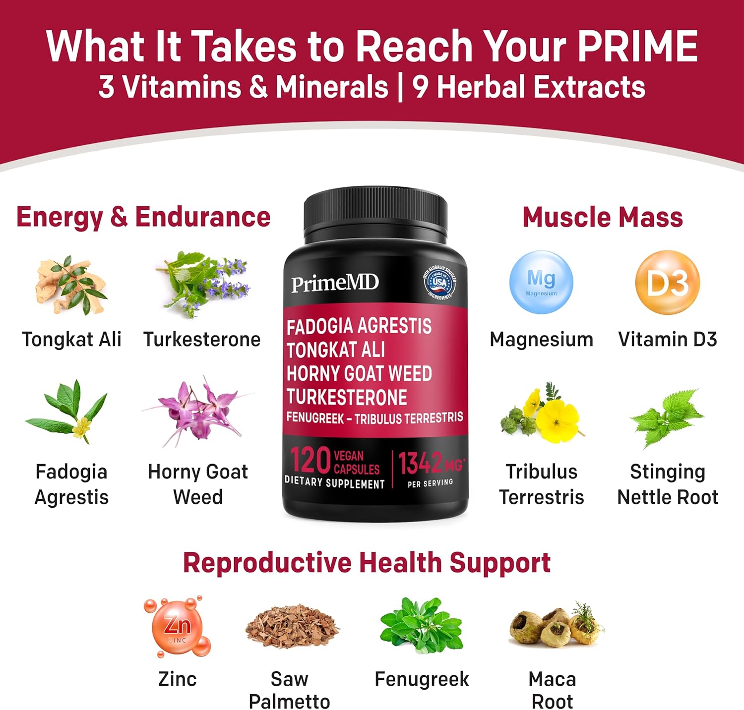 Ceylon Cinnamon (1pk) and Fadogia Tongkat Ali (1pk) Supplement Bundle - Potent Vitamins for Heart, Energy, Muscle, Testosterone, & Immune Support - Non-GMO, Vegan, Gluten-Free - PrimeMD