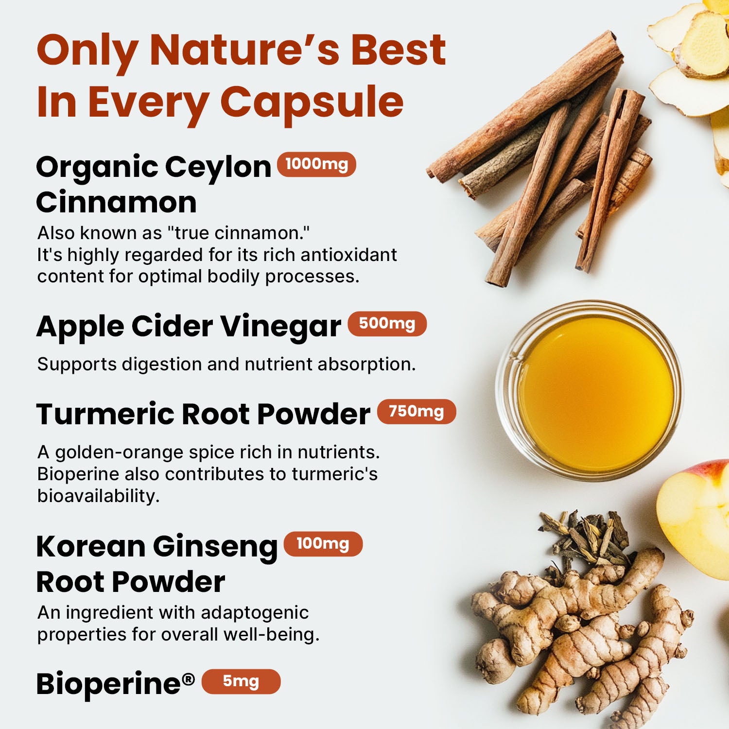 5-in-1 Ceylon Cinnamon Capsules 2355mg - Ceylon Cinnamon and Apple Cider Vinegar with Turmeric, Panax Ginseng, Cinnamon, and Bioperine - PrimeMD