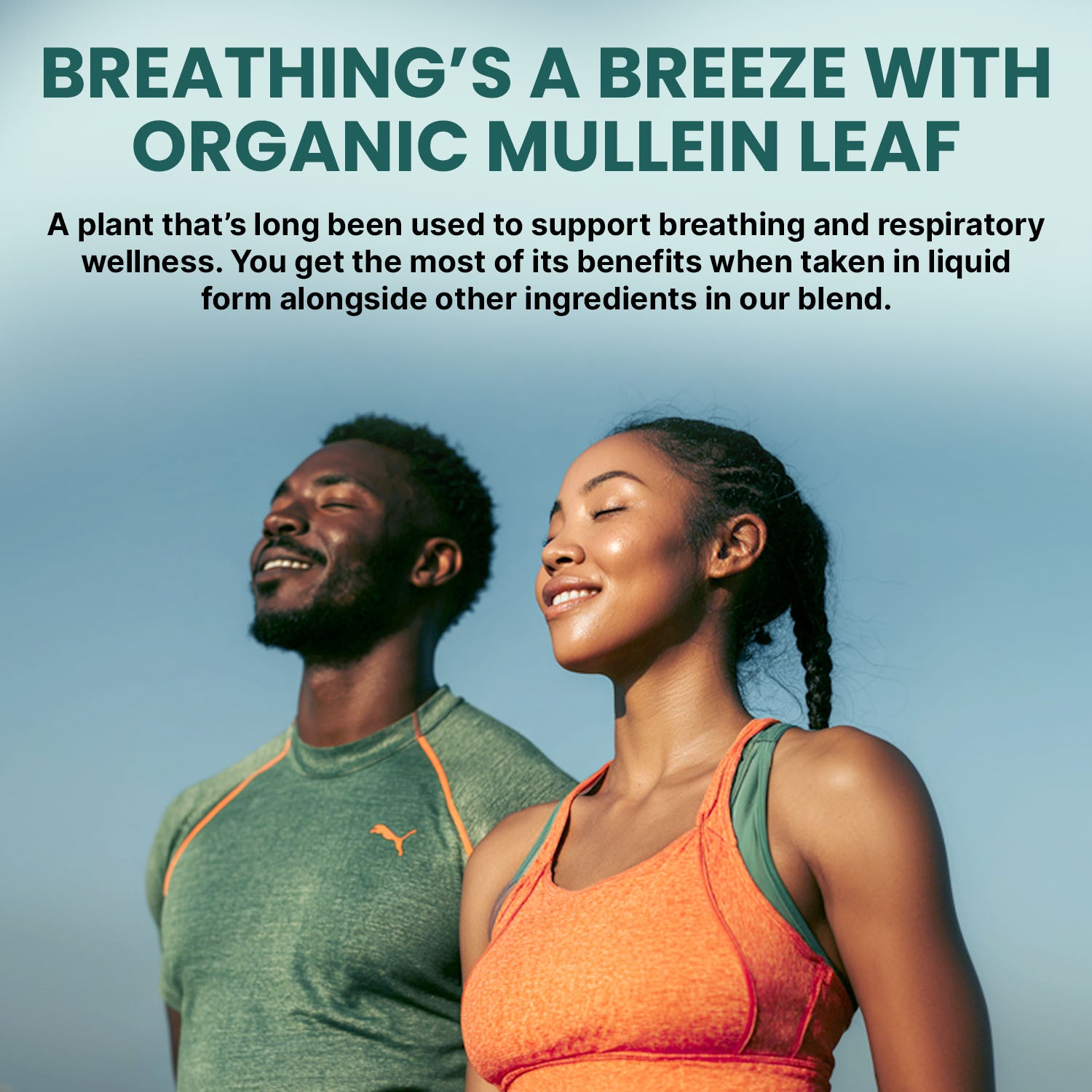 5-in-1 Mullein Drops for Lungs and Bronchial - Respiratory Lung Health Support with Mullen Leaf Extract for Lungs - Mullein Tincture with Elderberry, Echinacea and Ginger Root - PrimeMD