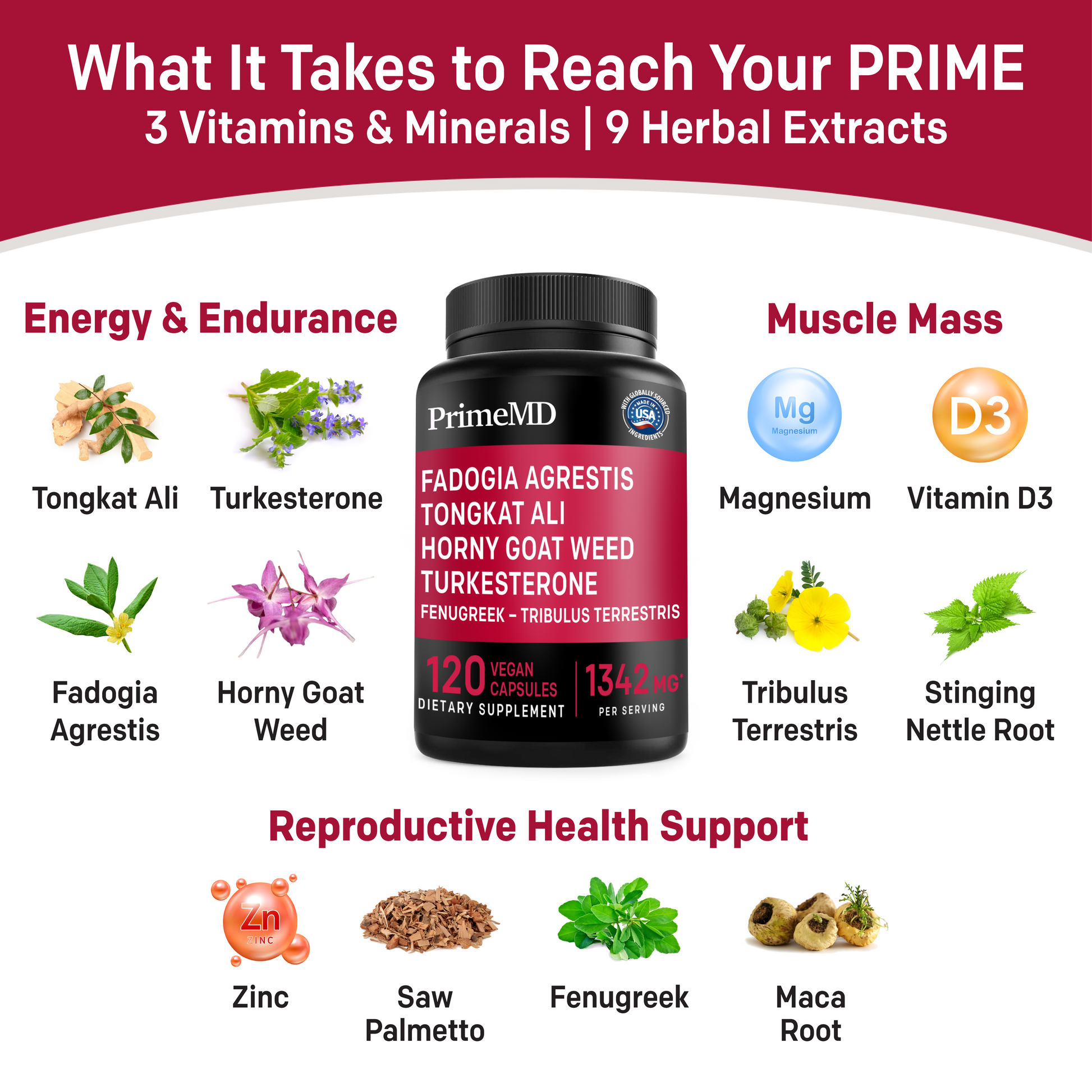 12-in-1 Fadogia Agrestis and Tongkat Ali Supplement - PrimeMD