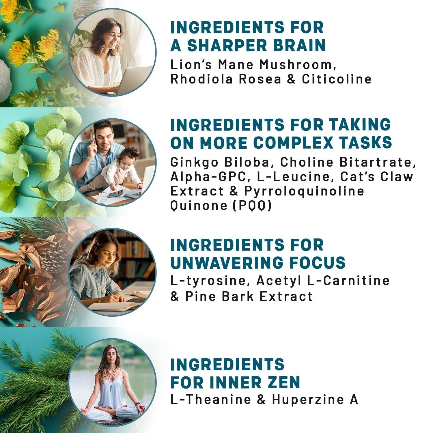 14-in-1 Lions Mane Supplement Capsules - Nootropic Brain Supplement wi PrimeMD 14-in-1 Lions Mane Supplement Capsules - Nootropic Brain Supplement wi PrimeMD
