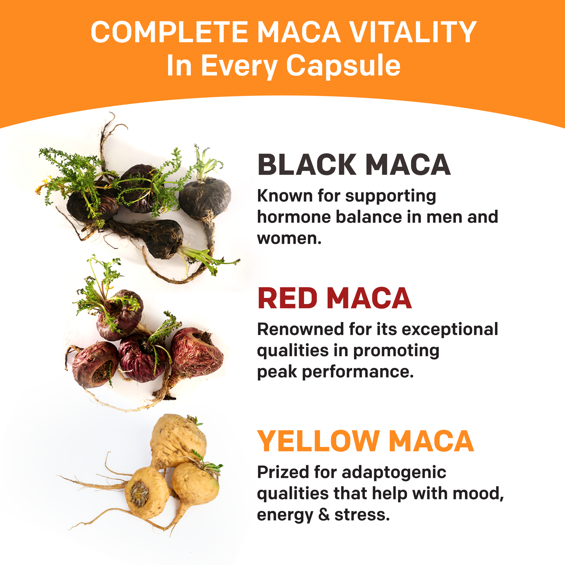 19-in-1 Peruvian Maca Root Supplement - PrimeMD