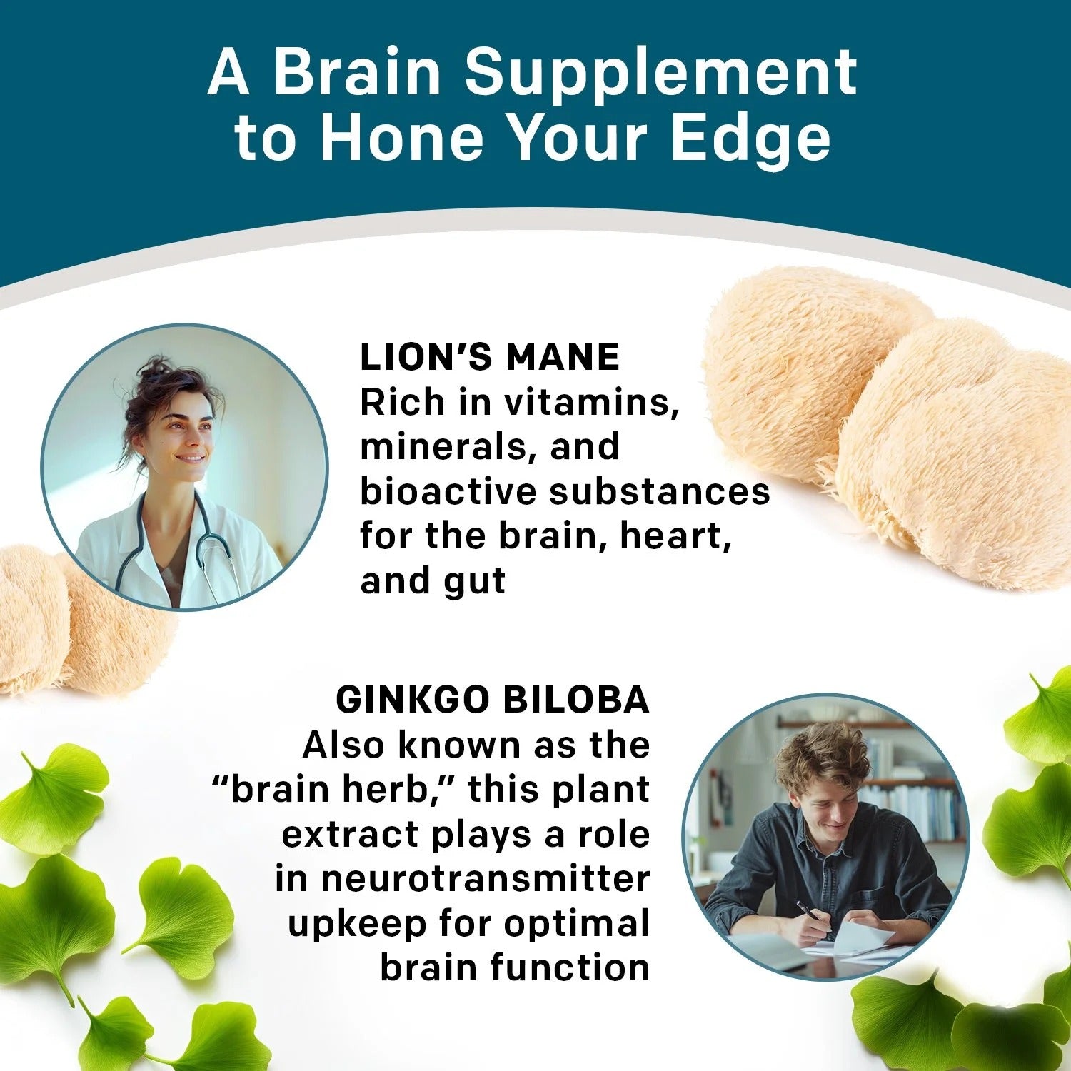 14-in-1 Lions Mane Nootropic Supplement - PrimeMD