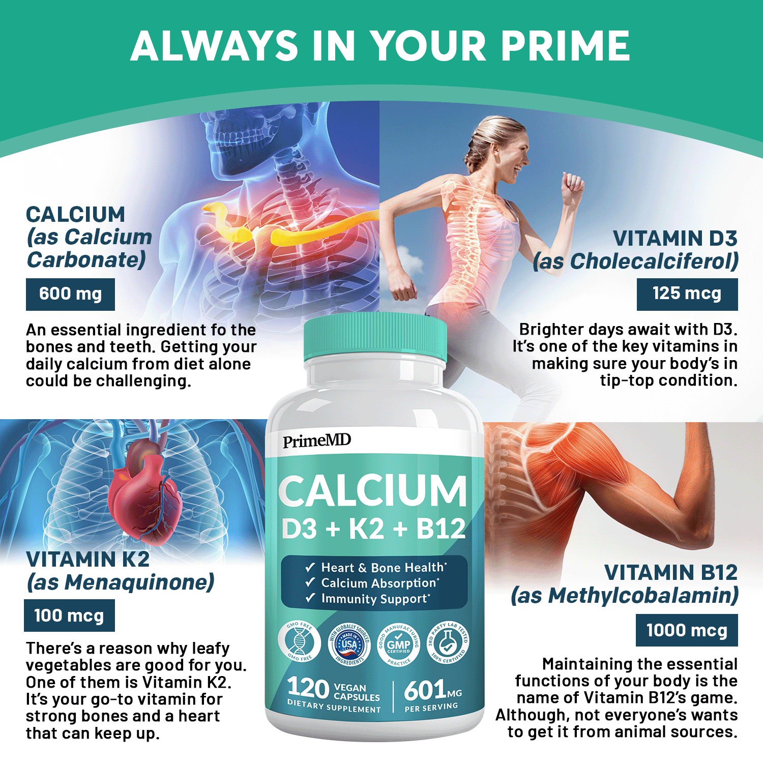 4-in-1 Calcium Supplement - REGULAR - PrimeMD
